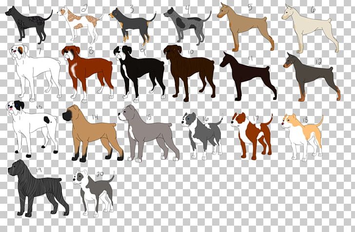 Dog Breed Border Collie Kennel Textile Quilting PNG, Clipart, Border Collie, Breed, Camel Like Mammal, Carnivoran, Conformation Show Free PNG Download