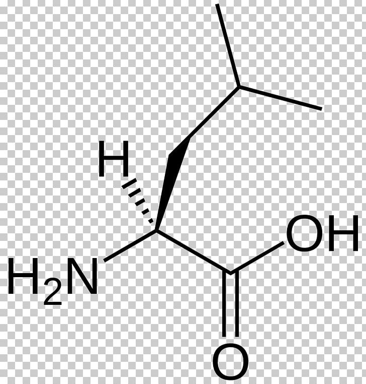 Branched-chain Amino Acid Essential Amino Acid Leucine Valine PNG, Clipart, Acid, Aliphatic Compound, Amino Acid, Angle, Black And White Free PNG Download