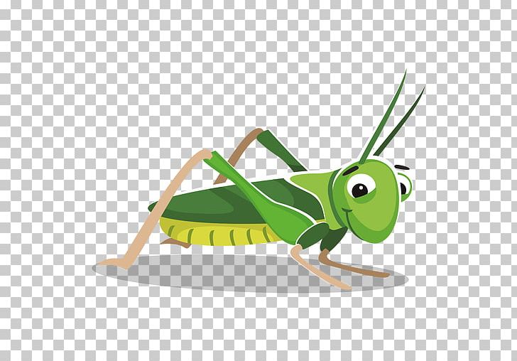 Grasshopper Cartoon PNG, Clipart, Animation, Arthropod, Cartoon, Cricket Like Insect, Desktop Wallpaper Free PNG Download