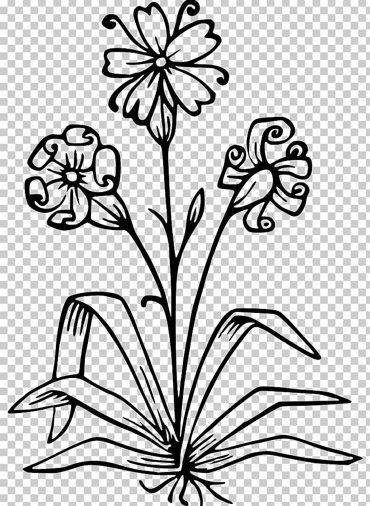 Sque New Guinea Photography Line Art PNG, Clipart, Art, Black And White, Branch, Cut Flowers, Drawing Free PNG Download