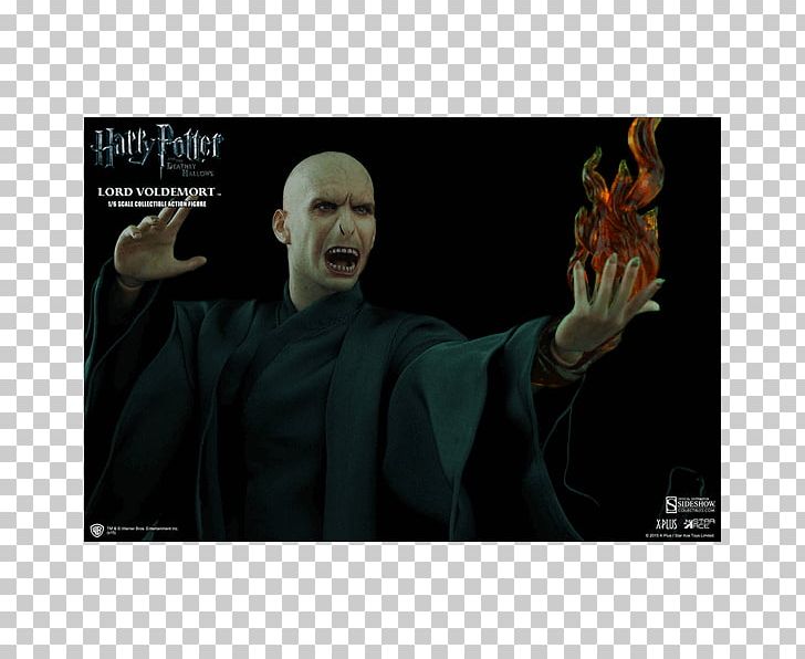 Lord Voldemort Harry Potter And The Deathly Hallows Harry Potter And The Philosopher's Stone Professor Albus Dumbledore PNG, Clipart,  Free PNG Download