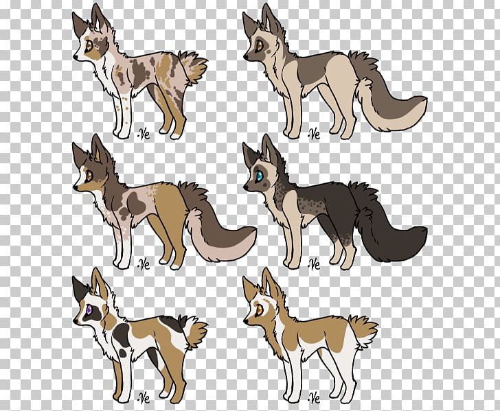 Saarloos Wolfdog Czechoslovakian Wolfdog Norwegian Lundehund Dog Breed Coyote PNG, Clipart, Breed, Carnivoran, Coyote, Czechoslovakian Wolfdog, Dog Free PNG Download