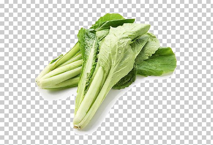 Savoy Cabbage Chinese Cabbage Vegetable PNG, Clipart, Bok Choy, Brassica Oleracea, Cabbage, Celtuce, Chard Free PNG Download