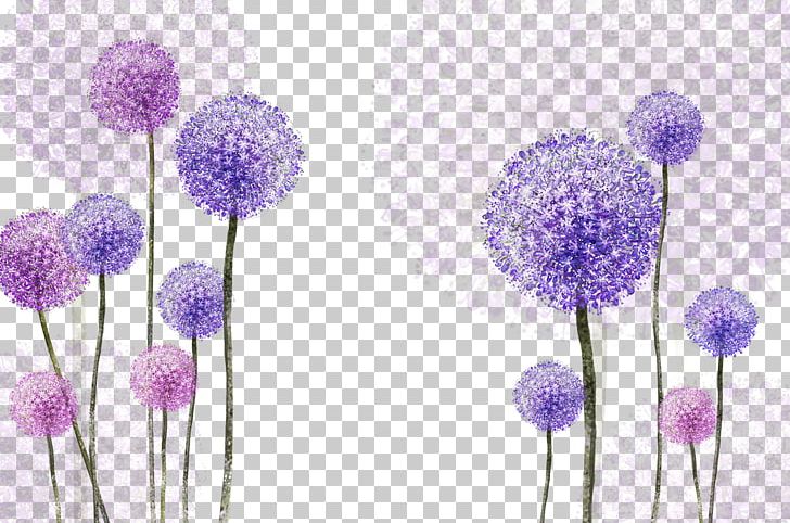 Common Dandelion Purple PNG, Clipart, Computer Wallpaper, Dandelion, Dandelions, Flower, Flower Arranging Free PNG Download