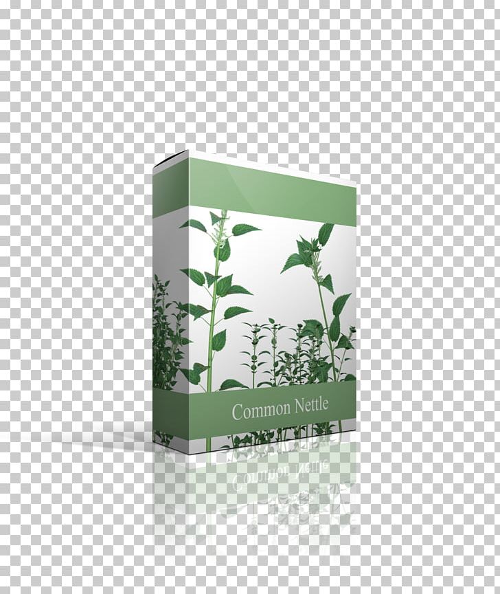 Herb Font PNG, Clipart, Art, Green, Herb, Nettle Free PNG Download
