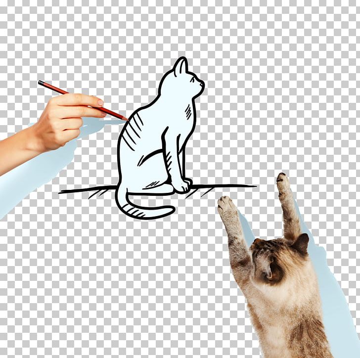 Siamese Cat Kitten Cat Food Illustration PNG, Clipart, Animals, Carnivoran, Cat Food, Cat Like Mammal, Color Free PNG Download