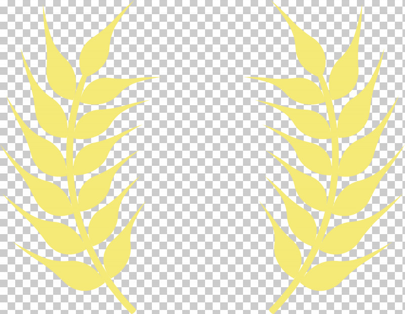 Grasses Pattern Mathematics Leaf Yellow PNG, Clipart, Biology, Commodity, Grasses, Leaf, Line Free PNG Download