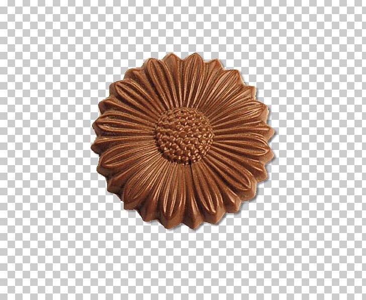 Child Stock Photography Mockup Art Director PNG, Clipart, Art Director, Brown, Child, Copper, Flower Free PNG Download