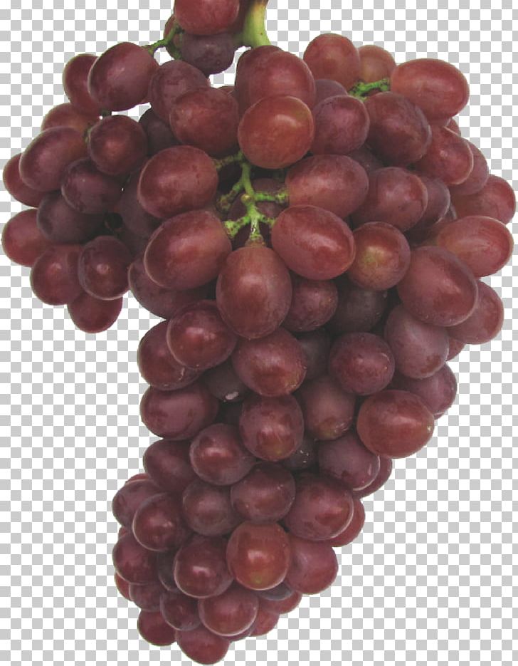 Kyoho Grape PNG, Clipart, Black Grapes, Common Grape Vine, Concepteur, Food, Fruit Free PNG Download