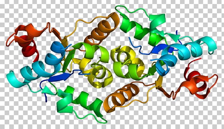 Interleukin-1 Family IL1RAPL1 Interleukin 1 Receptor PNG, Clipart, Antigen, Encyclopedia, Film Poster, Gene, Homo Free PNG Download