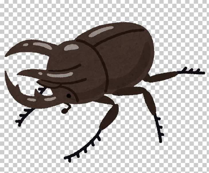 Scarabs Japanese Rhinoceros Beetle Chalcosoma Caucasus Hercules Beetle Japanese Idol PNG, Clipart, Animals, Arthropod, Beetle, Caucasus, Chalcosoma Caucasus Free PNG Download