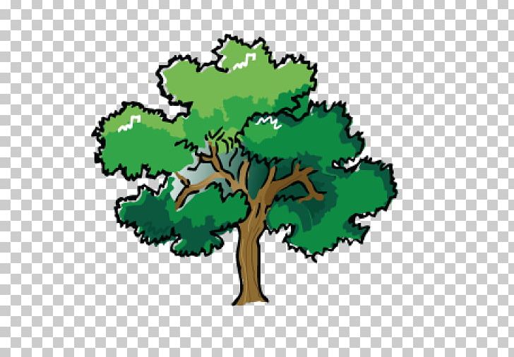 St Joseph's RC Primary School Strunk Tree Service PNG, Clipart,  Free PNG Download