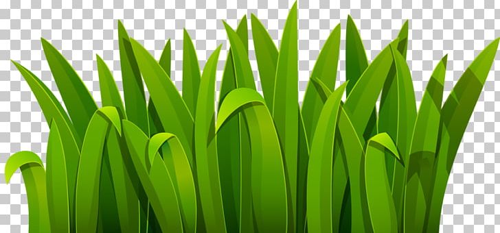 Green Cartoon PNG, Clipart, Art, Background Green, Blue, Cartoon, Commodity Free PNG Download