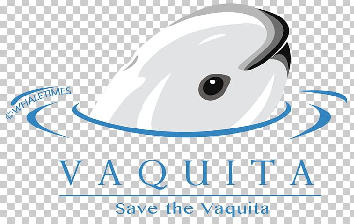 The Vaquita: The Biology Of An Endangered Porpoise The Vaquita: The Biology Of An Endangered Porpoise Endangered Species Logo PNG, Clipart, Animal, Area, Art, Artwork, Blue Free PNG Download