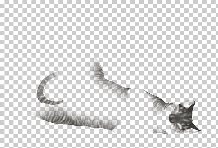 Whiskers Kitten Fur Drawing /m/02csf PNG, Clipart, Animals, Black And White, Carnivoran, Cat, Cat Like Mammal Free PNG Download