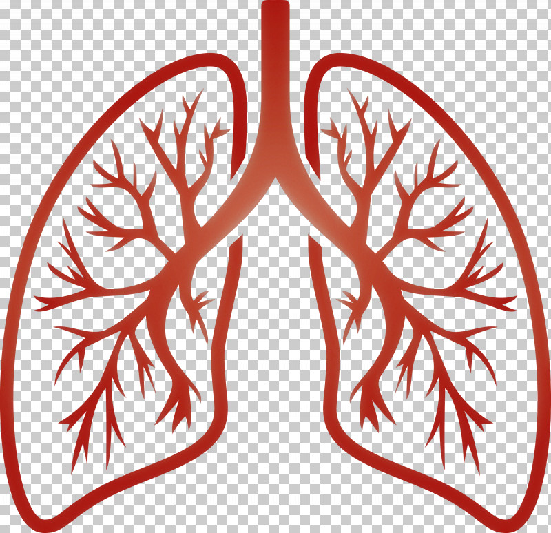 Lungs COVID Corona Virus Disease PNG, Clipart, Corona Virus Disease, Covid, Leaf, Lungs, Ornament Free PNG Download