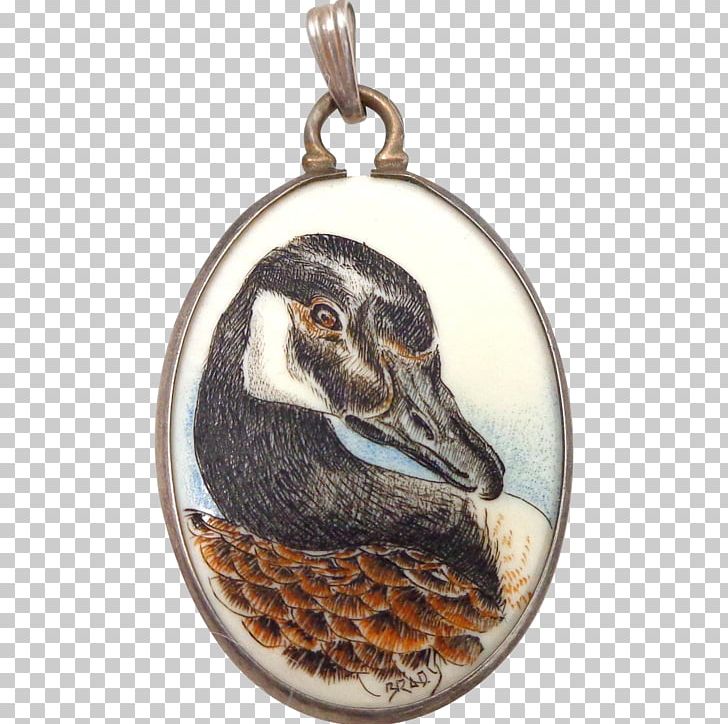 Duck Anatidae Water Bird Goose Locket PNG, Clipart, Anatidae, Animals, Beak, Bird, Charms Pendants Free PNG Download