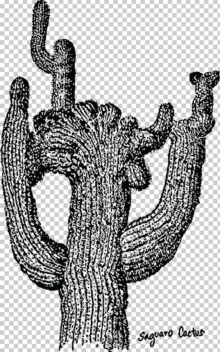 Saguaro National Park Cactaceae Desert Succulent Plant PNG, Clipart, Art, Black And White, Cactaceae, Cacti, Cactus Garden Free PNG Download