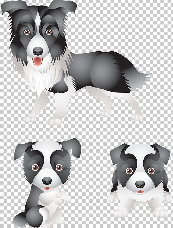 Border Collie Puppy Rough Collie Standard Schnauzer Maltese Dog PNG, Clipart, Animal, Animals, Border Collie, Carnivoran, Cartoon Free PNG Download
