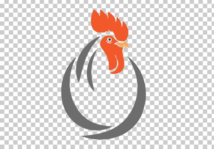 Chicken Broiler Rooster Poultry Farming PNG, Clipart, Animals, Beak, Bird, Broiler, Chicken Free PNG Download