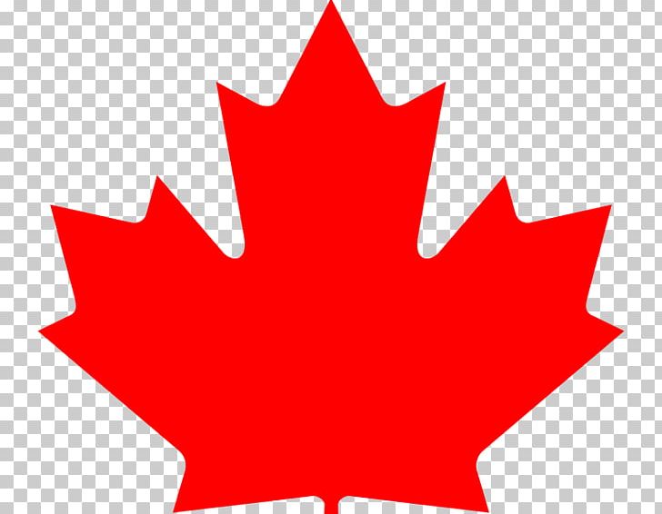 maple leaf canadian flag