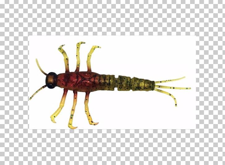 Mayfly Nymph Insect Fishing Baits & Lures PNG, Clipart, Animals, Arthropod, Artificial Fly, Bait, Dry Fly Fishing Free PNG Download
