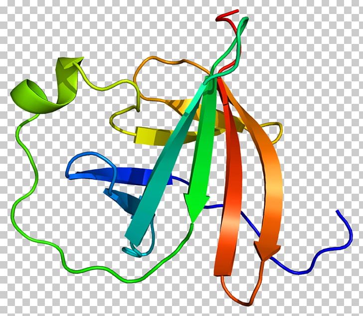 MTCP1 Protein Kinase B Gene AKT1 PNG, Clipart, Akt1, Area, Chromosome, Chromosome 19, Dna Free PNG Download