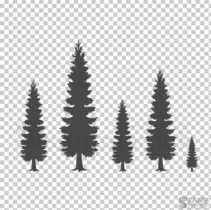 Spruce Wall Decal Pine Sticker PNG, Clipart, Black And White, Christmas Day, Christmas Decoration, Christmas Ornament, Christmas Tree Free PNG Download