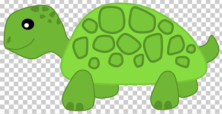 Turtle Herbivore PNG, Clipart, Carnivore, Cartoon, Cartoons, Cute, Fauna Free PNG Download