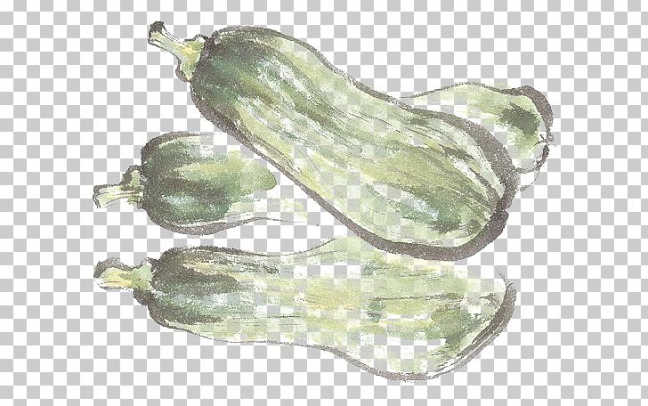 Vegetable Melon Shoe PNG, Clipart, Fresh, Fruit Nut, Green, Green Vegetables, Hand Free PNG Download