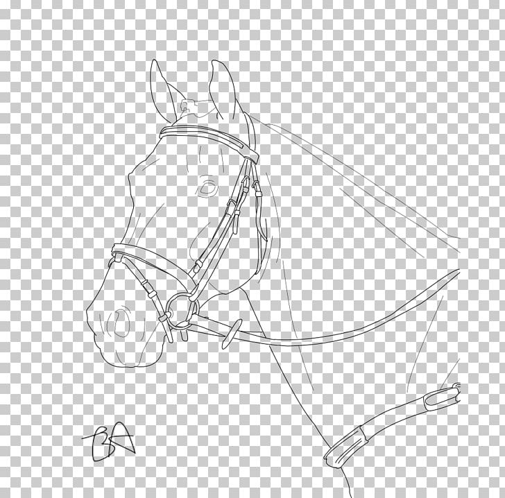 Bridle Horse Line Art Mane Drawing PNG, Clipart, Angle, Animals, Arm, Art, Artwork Free PNG Download