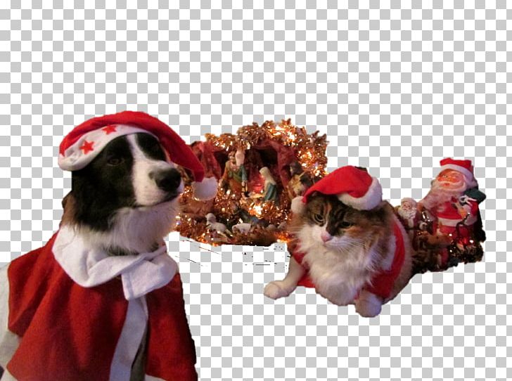 Dog Breed Border Collie Puppy Christmas Ornament Rough Collie PNG, Clipart, Animal, Animals, Border Collie, Breed, Christmas Free PNG Download