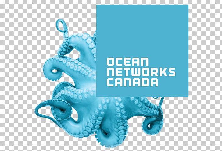 Ocean Networks Canada Earth Science NEPTUNE PNG, Clipart, Brand, British Columbia, Canada, Cephalopod, Coast Free PNG Download