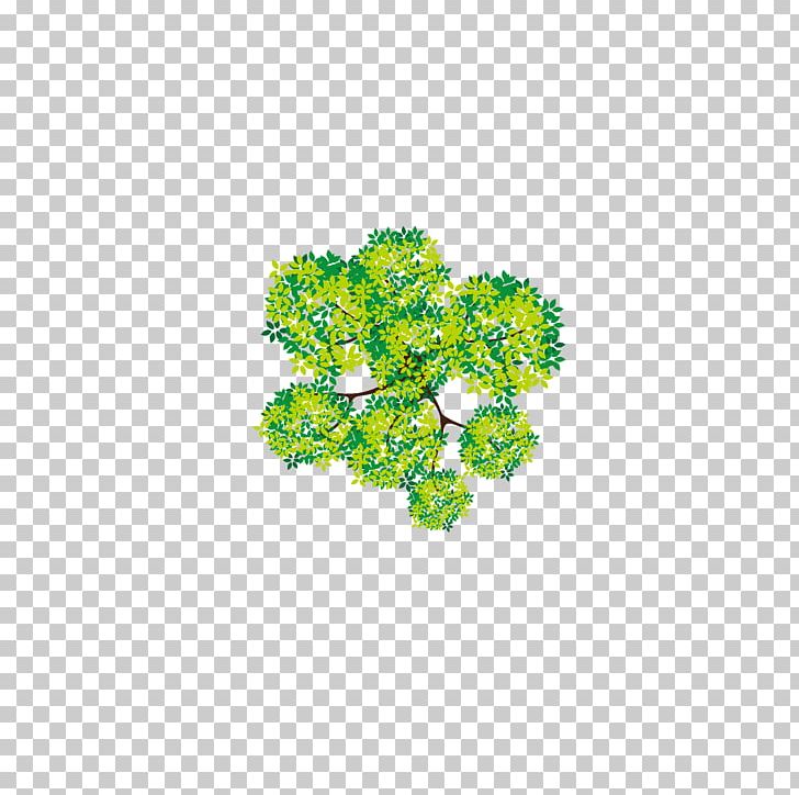 Tree Euclidean Adobe Illustrator PNG, Clipart, Computer Graphics, Computer Icons, Decorative Patterns, Design, Download Free PNG Download