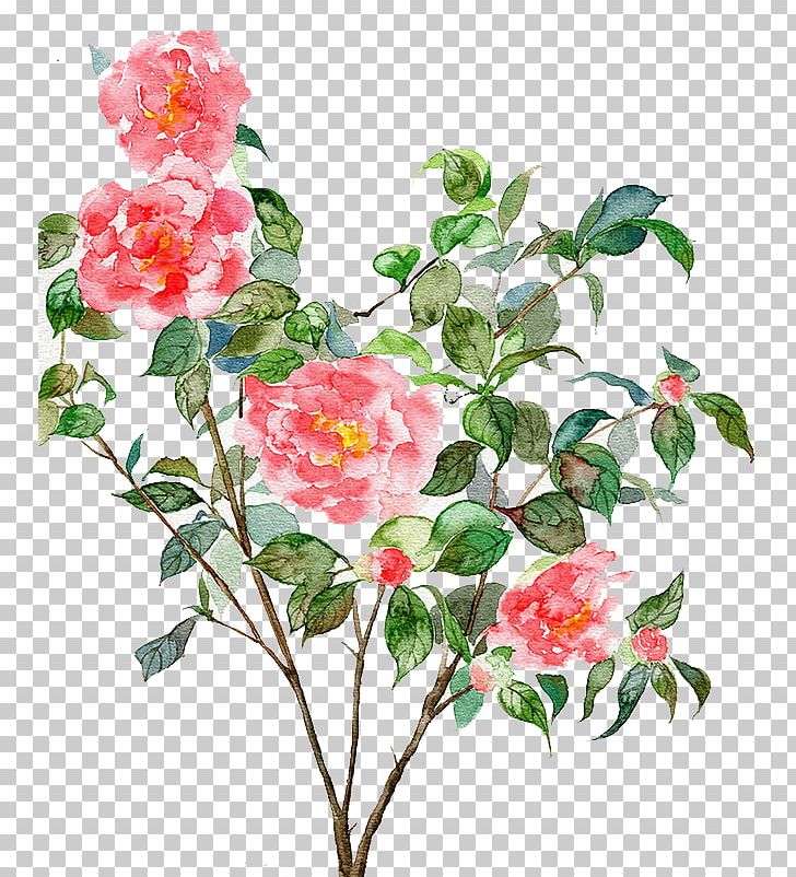 Watercolor Painting Computer Graphics Illustration PNG, Clipart, Artificial Flower, Branch, Cartoon, Encapsulated Postscript, Floribunda Free PNG Download