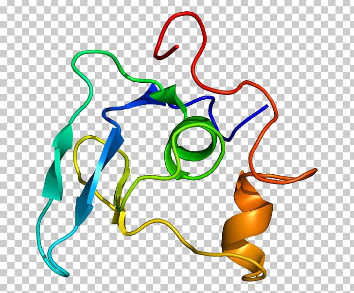 Fibrillin 1 Protein Marfan Syndrome Online Mendelian Inheritance In Man PNG, Clipart, Area, Artwork, Asprosin, Calciumbinding Protein, Chromosome 15 Human Free PNG Download