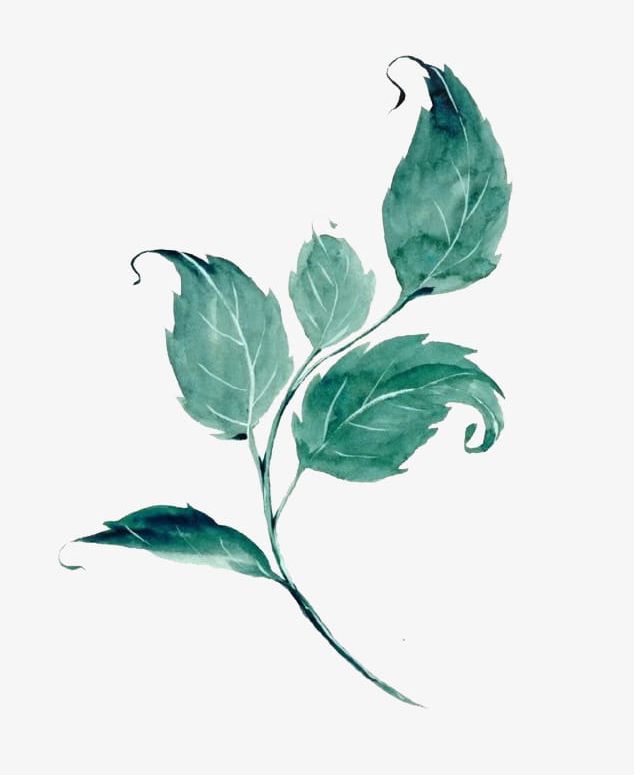 Watercolor Leaves PNG, Clipart, Autumn, Cartoon, Decorate, Green, Green Leaf  Free PNG Download