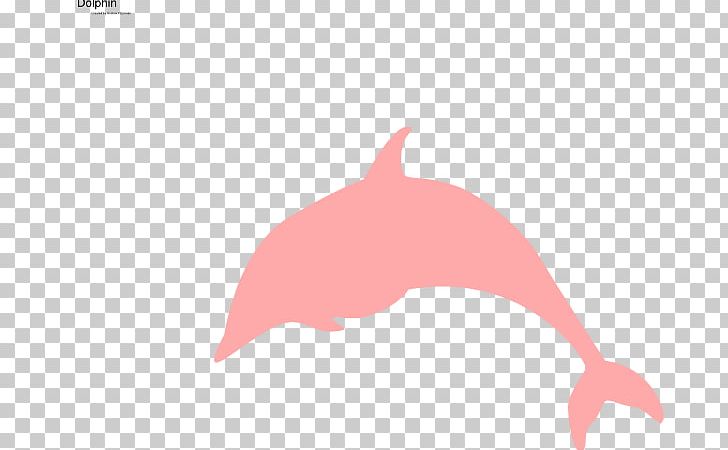 Dolphin Free PNG, Clipart, Amazon River Dolphin, Animals, Beak, Computer Icons, Document Free PNG Download