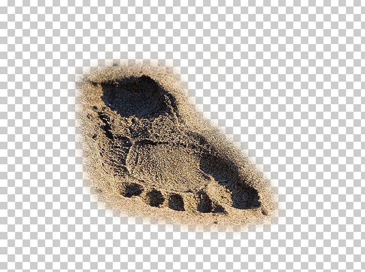 Yalong Bay Beach Sand PNG, Clipart, Adobe Illustrator, Beach, Beaches, Beach Footprints, Beach Party Free PNG Download