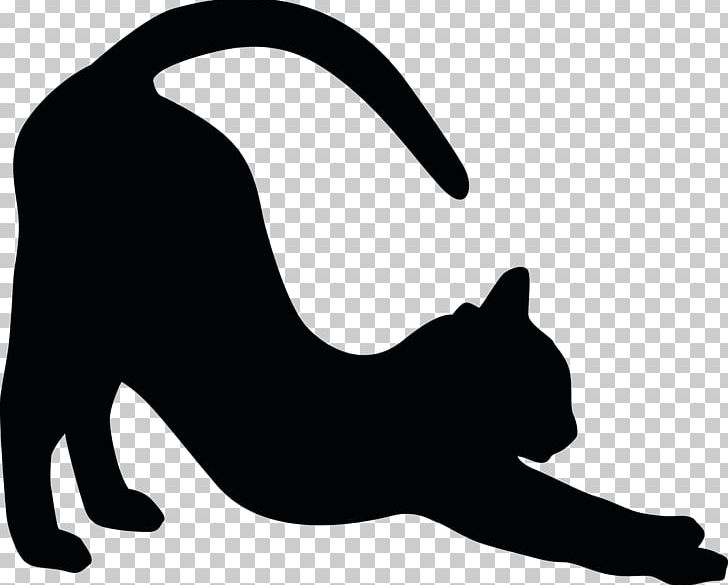 Cat Whiskers Bumper Sticker Adhesive PNG, Clipart, Adhesive, Animal, Animals, Black, Black And White Free PNG Download