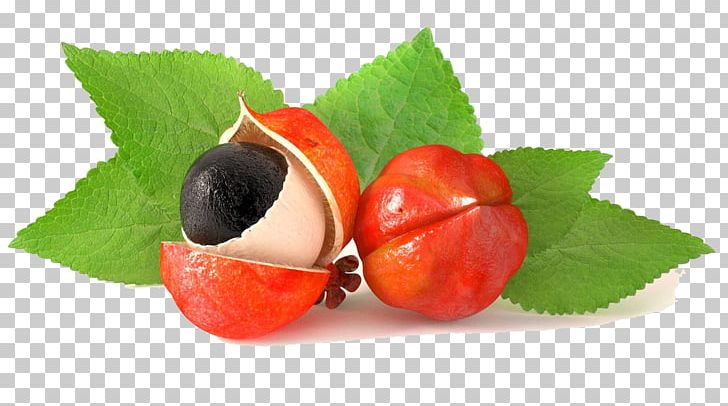 Guarana Amazon Rainforest Fruit Caffeine Mate PNG, Clipart, Berry, Cranberry, Diet Food, Extract, Food Free PNG Download