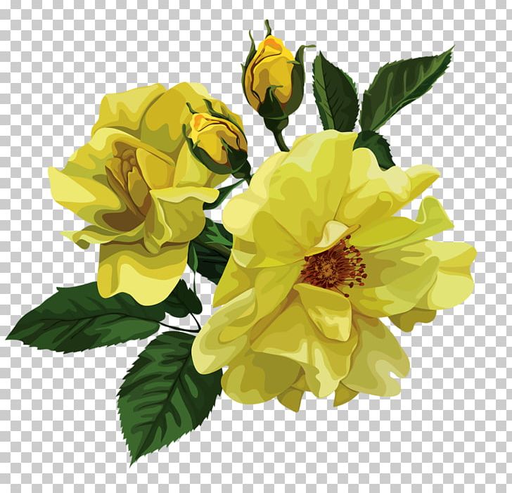 Beach Rose Rosa Chinensis Flower PNG, Clipart, Adobe Illustrator, Background White, Black White, Cut Flowers, Download Free PNG Download