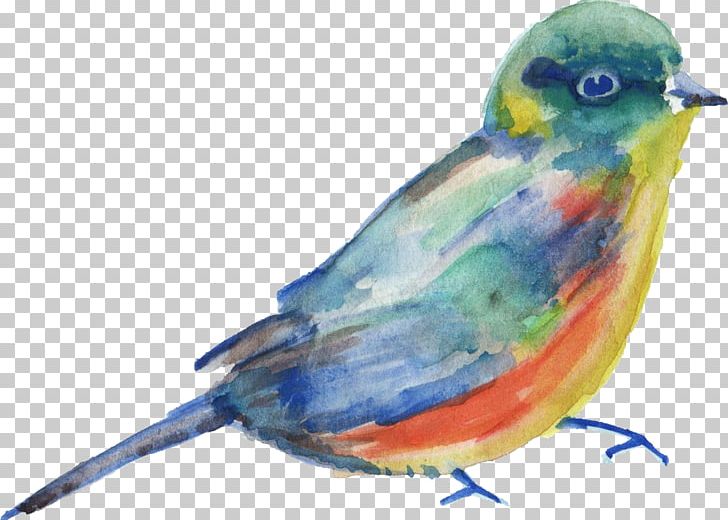 Bird Parrot Transparent Watercolor Watercolor Painting Parakeet PNG, Clipart, Animals, Art, Beak, Bird, Birds Free PNG Download