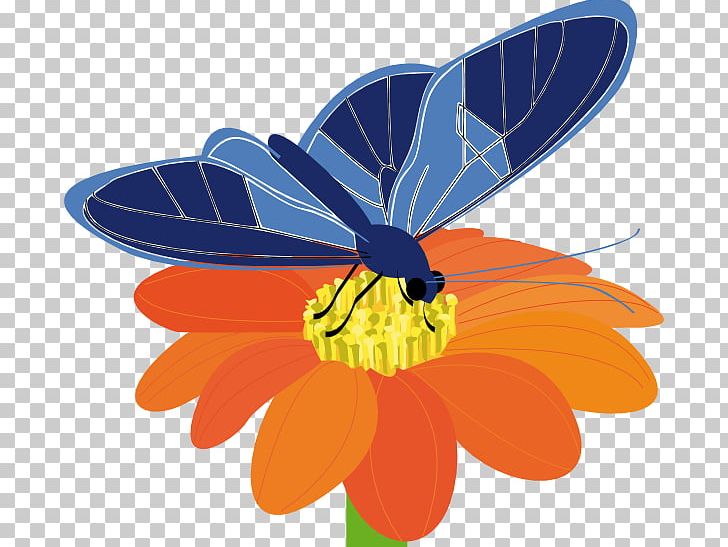 Butterfly Flower PNG, Clipart, Arthropod, Brush Footed Butterfly, Butterfly, Caterpillar, Computer Icons Free PNG Download