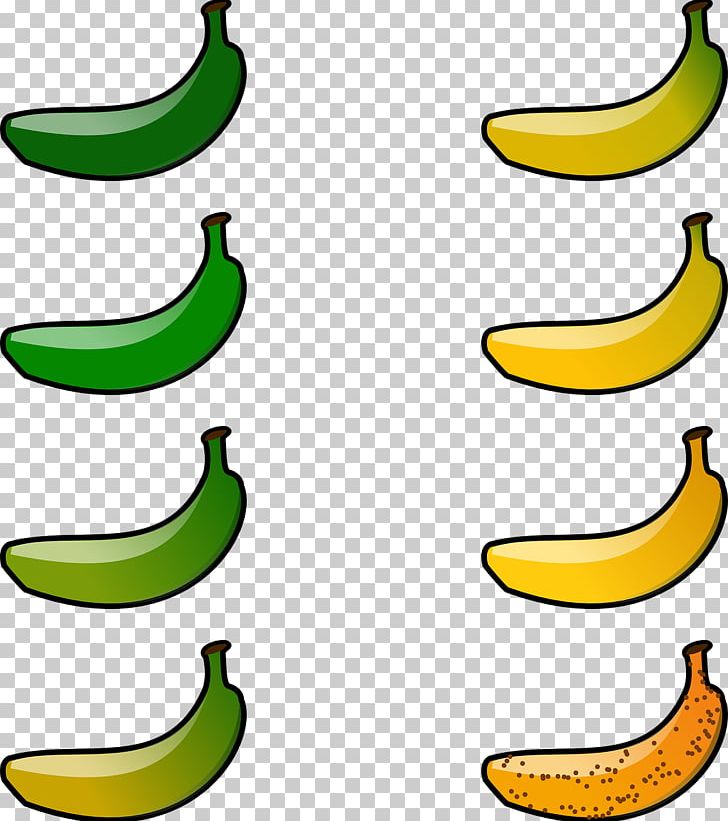 Cooking Banana Fruit Food PNG, Clipart, Artwork, Banana, Banana Family, Cooking Banana, Food Free PNG Download
