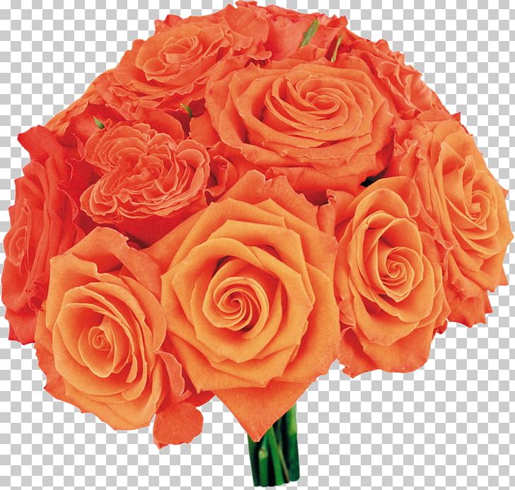 Garden Roses Flower Bouquet PNG, Clipart, Color, Cut Flowers, Display Resolution, Floral Design, Floribunda Free PNG Download