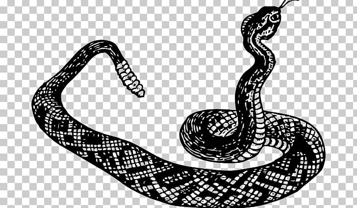Rattlesnake Vipers PNG, Clipart, Animals, Black And White, Boa Constrictor, Boas, Cobra Free PNG Download