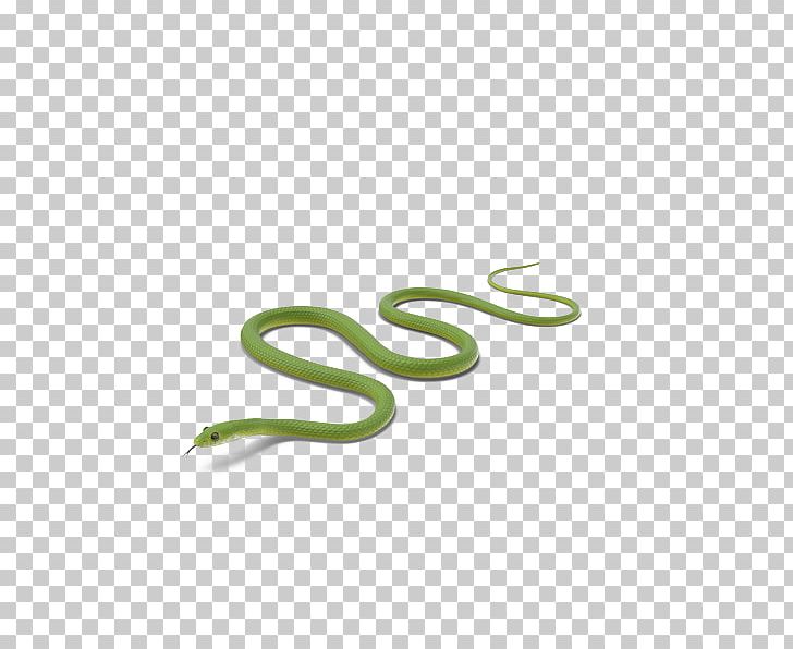 Snake Green PNG, Clipart, Animal, Animals, Background Green, Brand, Crawl Free PNG Download