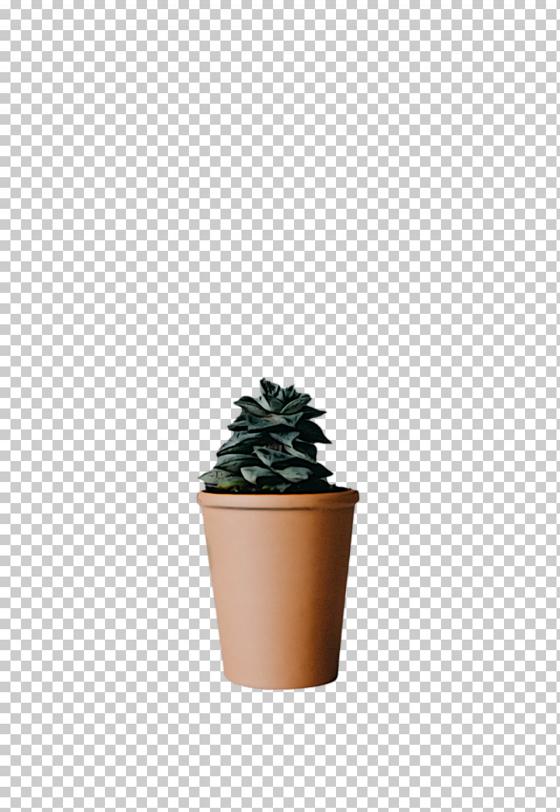 Houseplant PNG, Clipart, Houseplant Free PNG Download