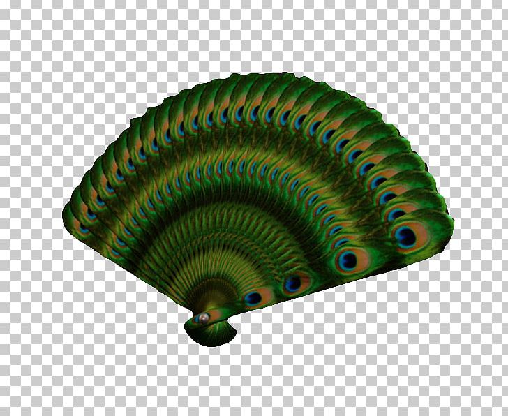 Japan Hand Fan 3D Modeling Peafowl PNG, Clipart, 3d Computer Graphics, 3d Modeling, Animals, Background Green, Cgtrader Free PNG Download